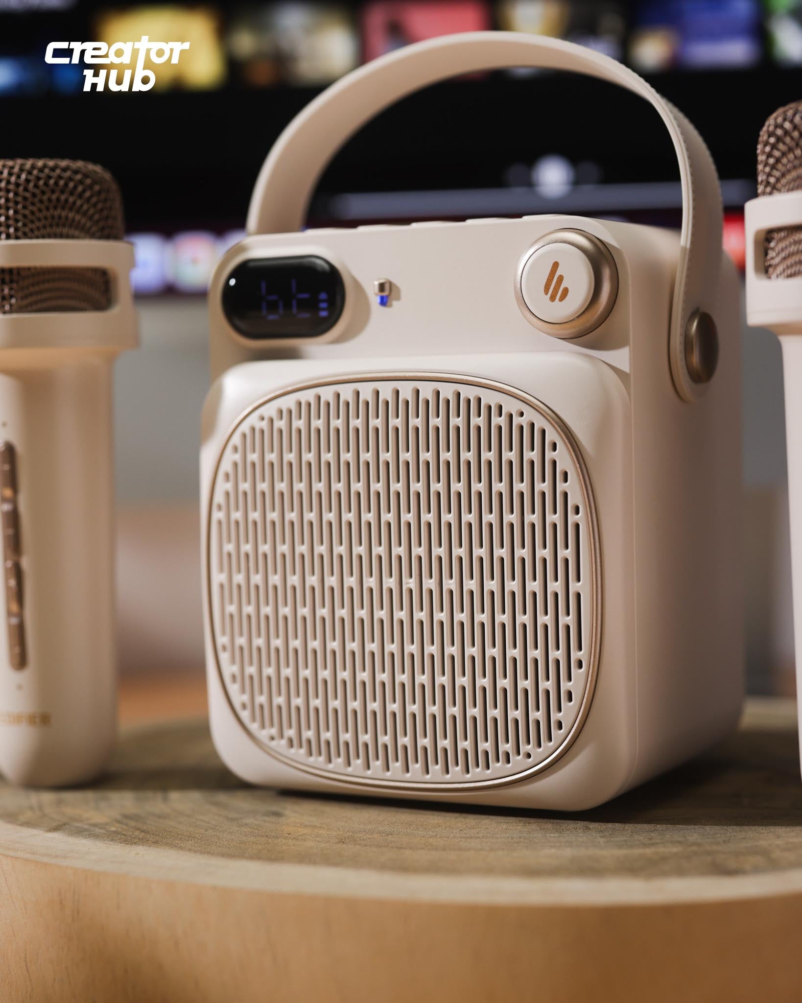 Edifier P203S Speaker and Karaoke
