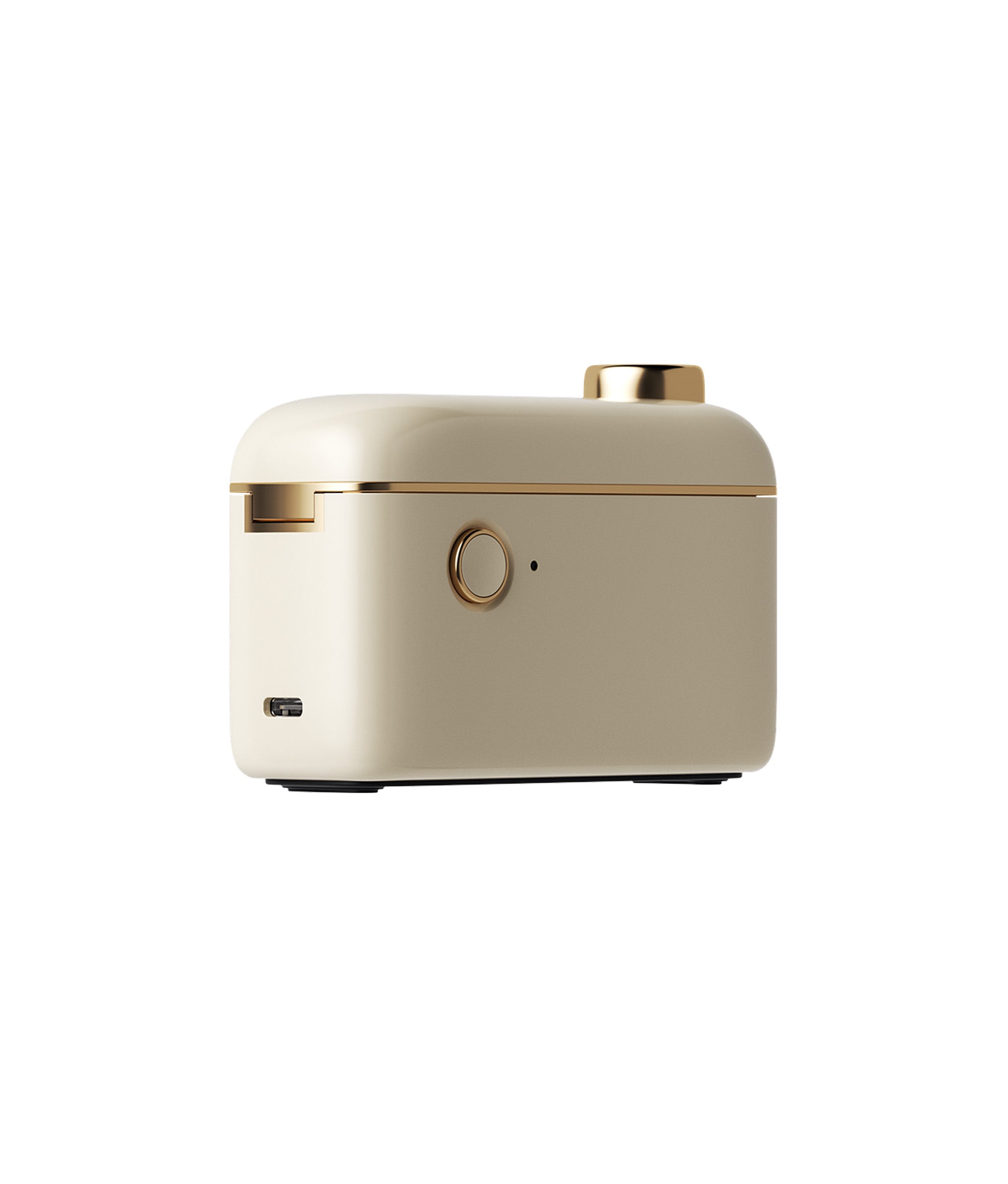 NIIMBOT H1S